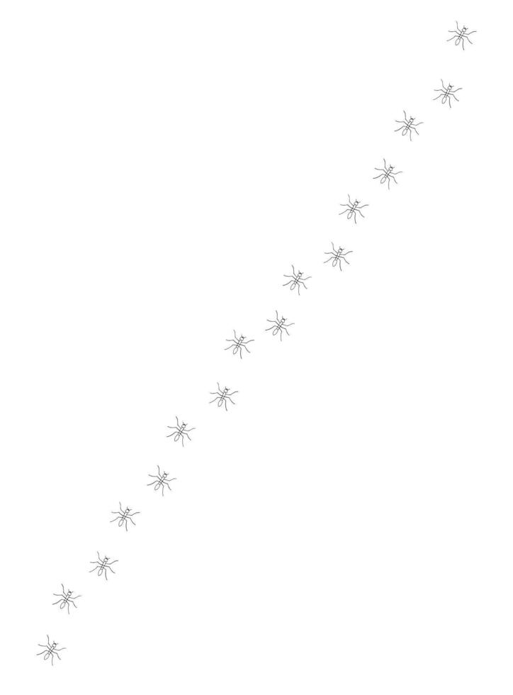 Hand drawn sketch ants path line vector