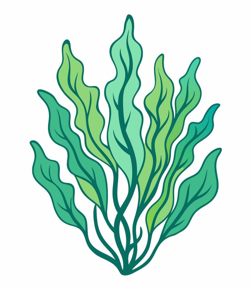 Hand drawn seaweed isolated on white. Cartoon style illustration. vector