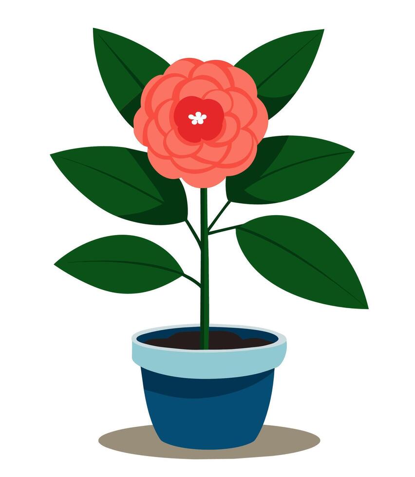 Camellia japonica flower. Indoor home plant in a pot. Cartoon style illustration. vector