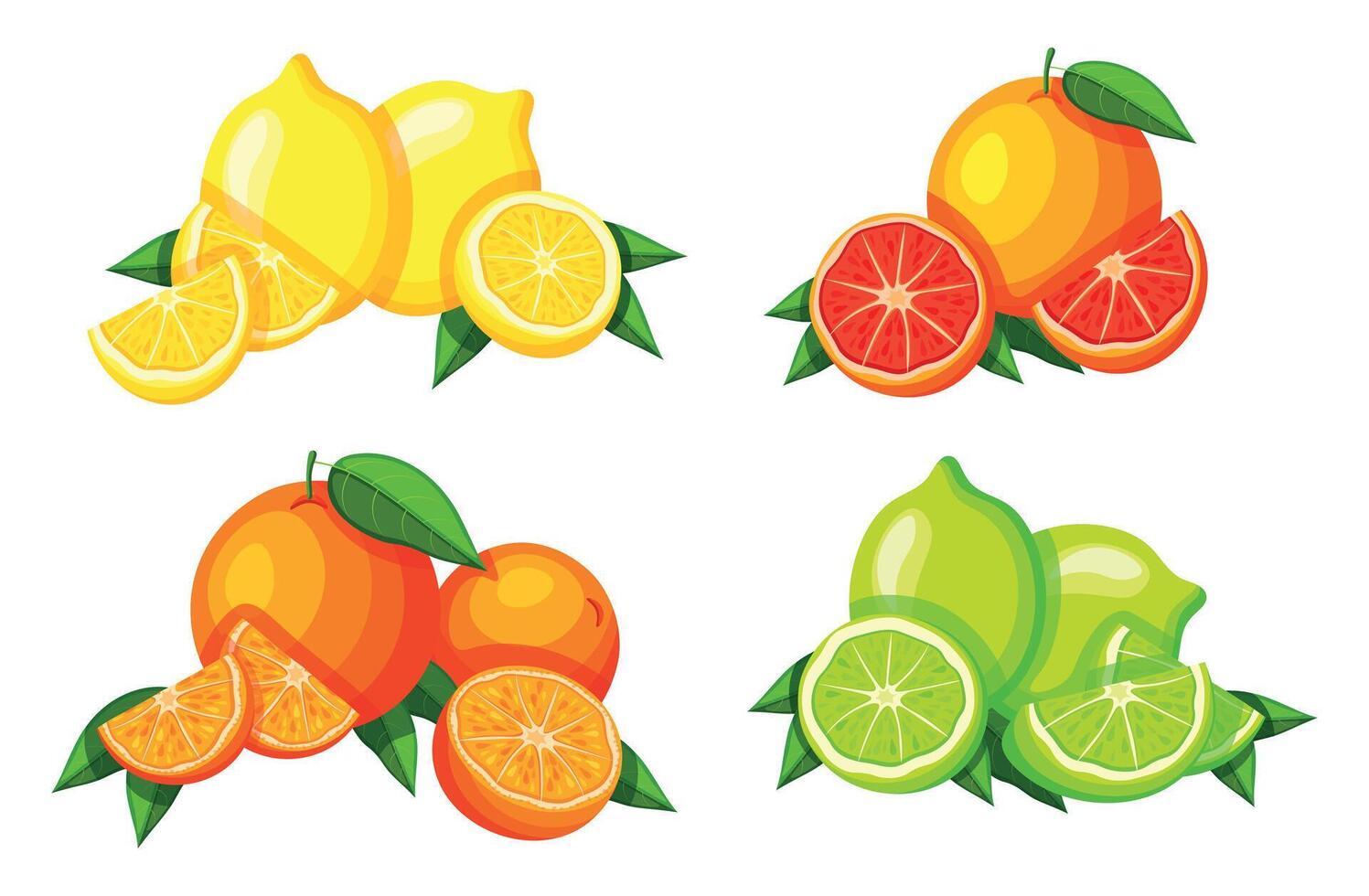 Set citrus fruits in cartoon style. Lemon,lime,grapefruit, orange isolated on white background. vector