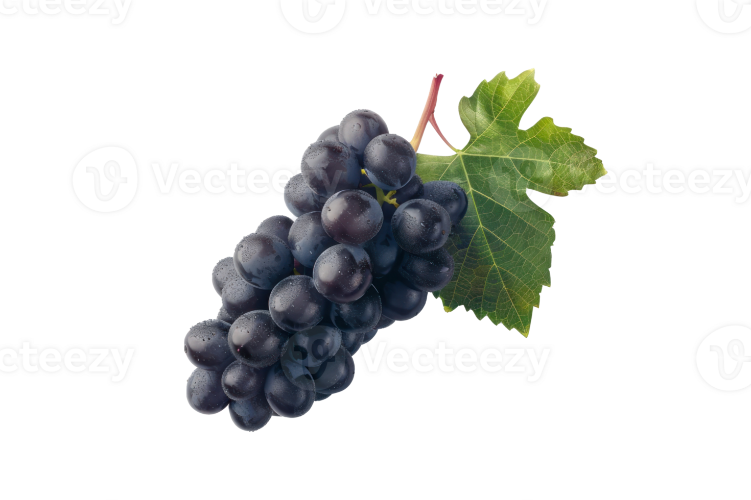 grapes on a branch with leaves on a transparent background png