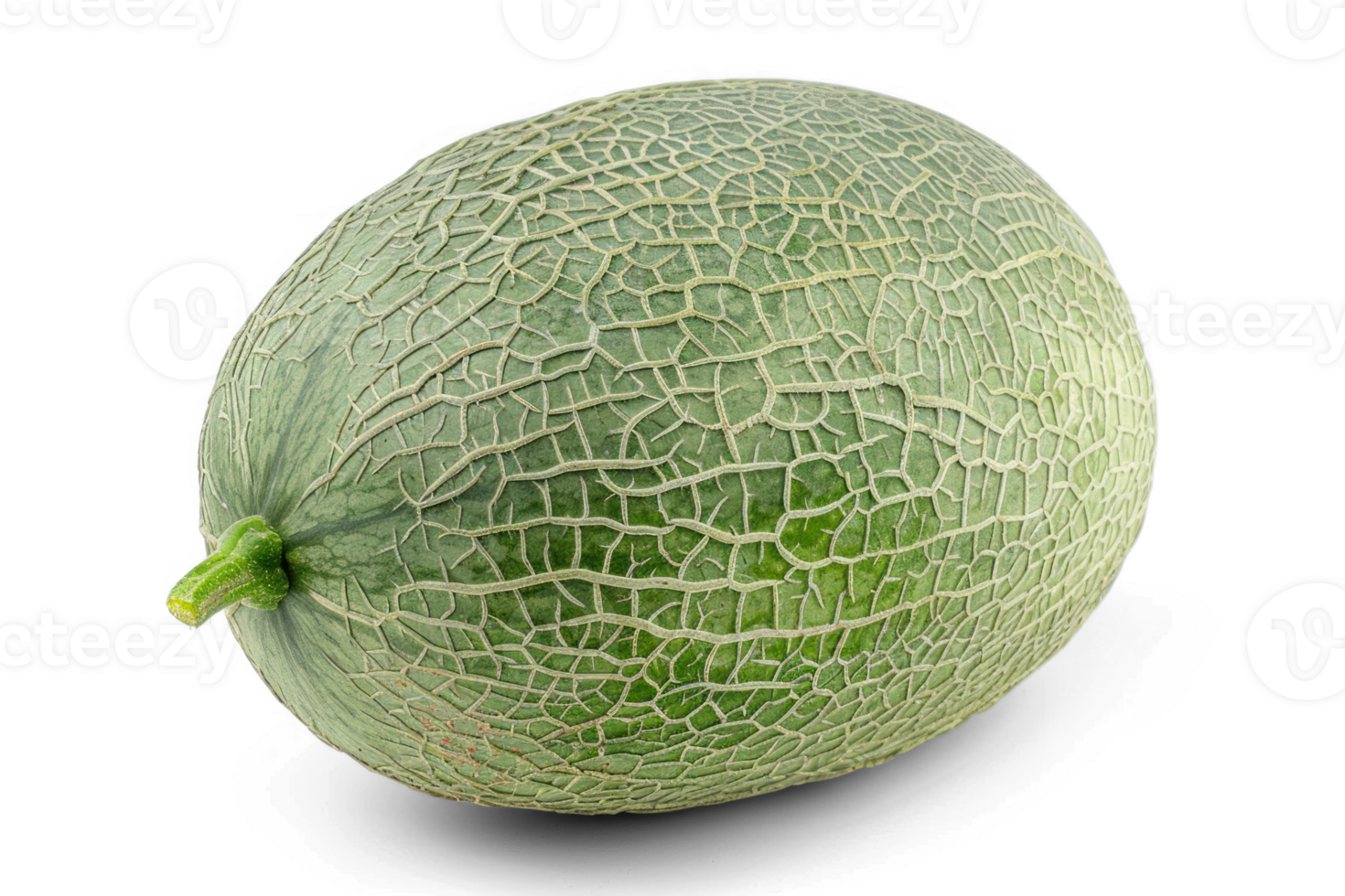 a melon on a transparent background png