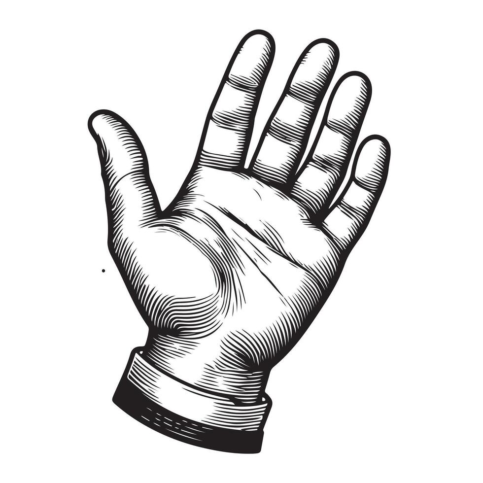 Hand palm outline image with white background vector