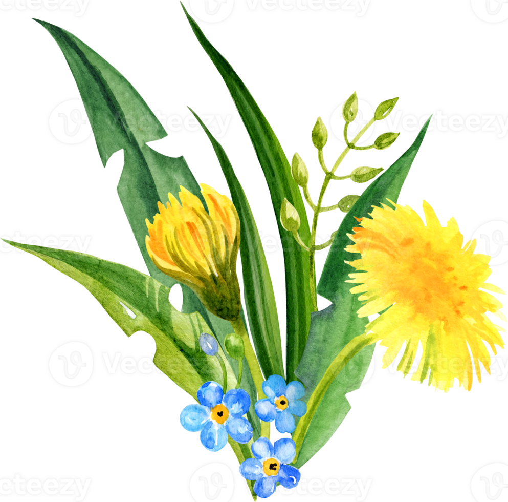 watercolor bouquet of summer field flowers, hand draw round frame of yellow dandelions and blow balls, leaves, herbs, butterfly png