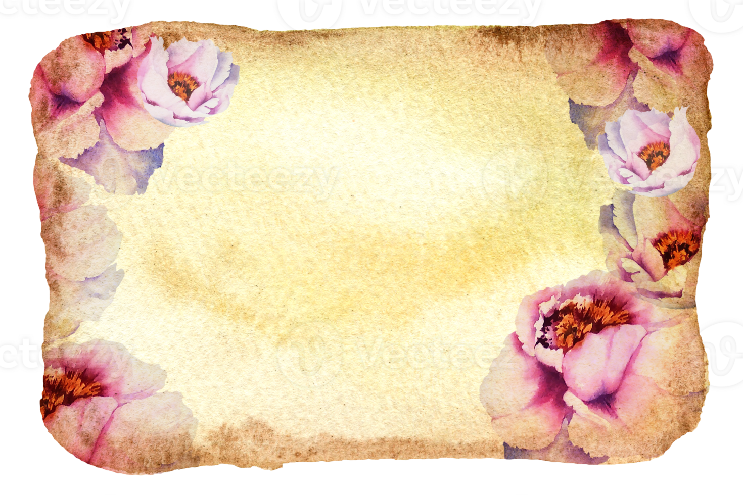 Watercolor textured background with pink peony, spring flowers and leaves, hand drawn sketch png