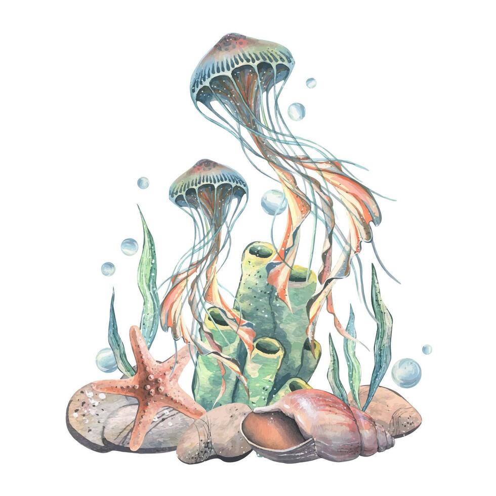 Jellyfish, seashell, coral, starfish, sea sponge, algae, pebbles and bubbles. Hand drawn watercolor illustration of sea animals and the underwater world. Composition isolated from the background vector