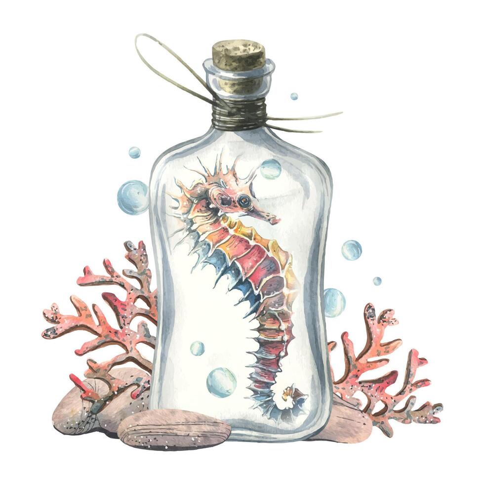 Seahorse, corals, pebbles and bubbles inside a glass bottle with a stopper. Hand drawn watercolor illustration of the underwater world. Composition isolated from the background vector