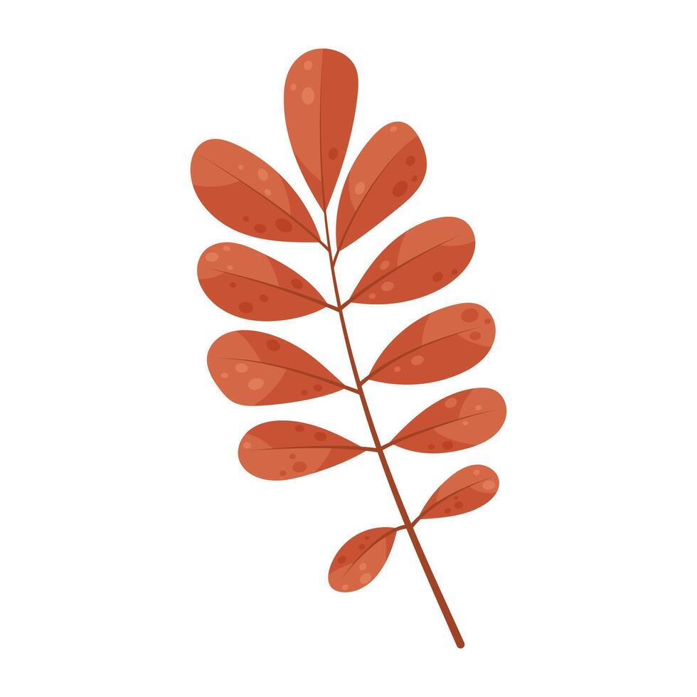 Brown autumn leaf. vector