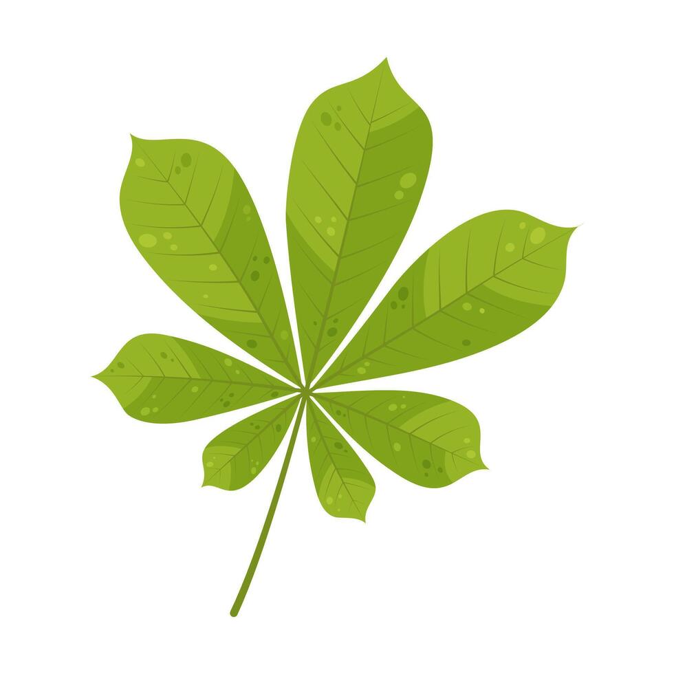 Light green autumn leaf. vector