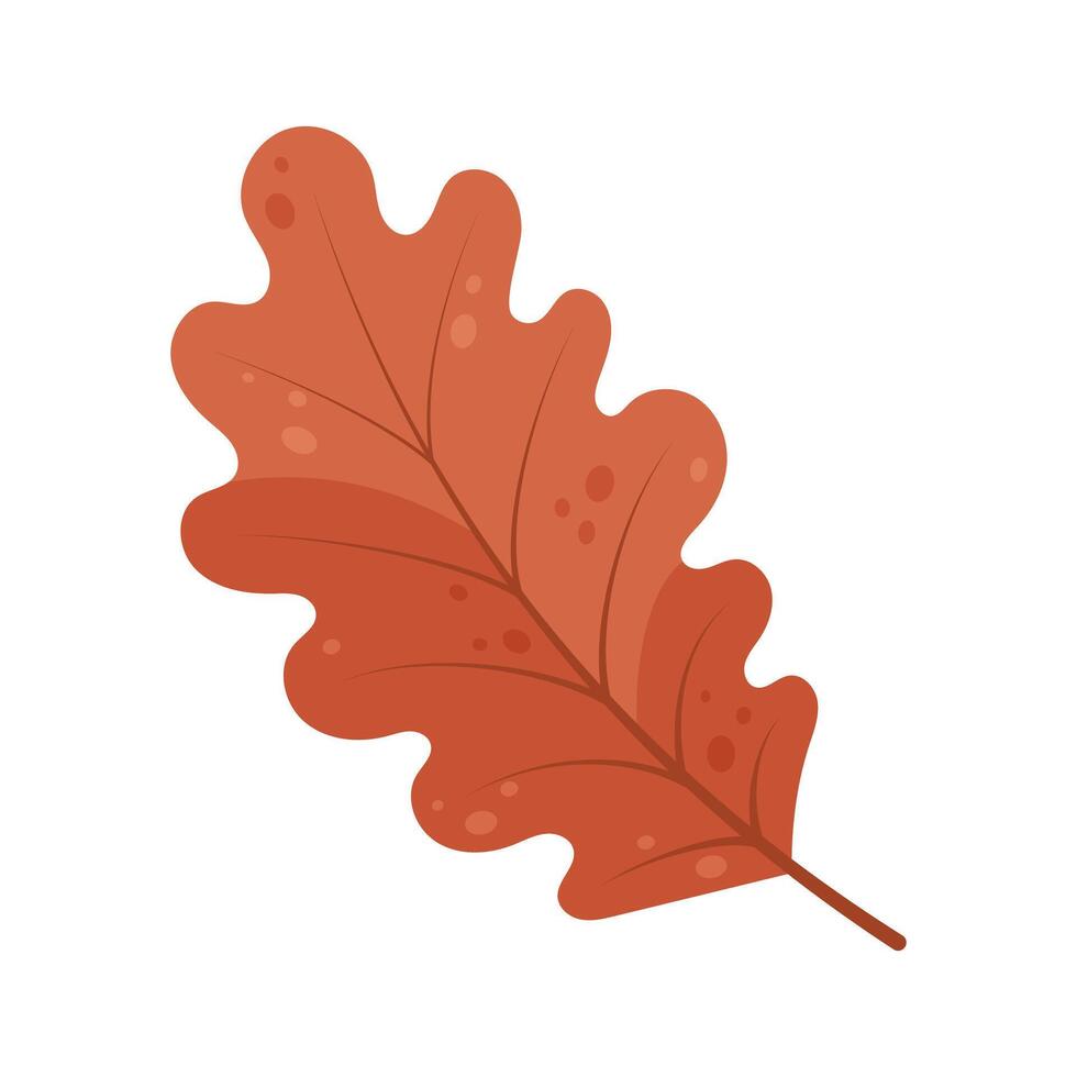 Brown autumn leaf isolated on white background. vector