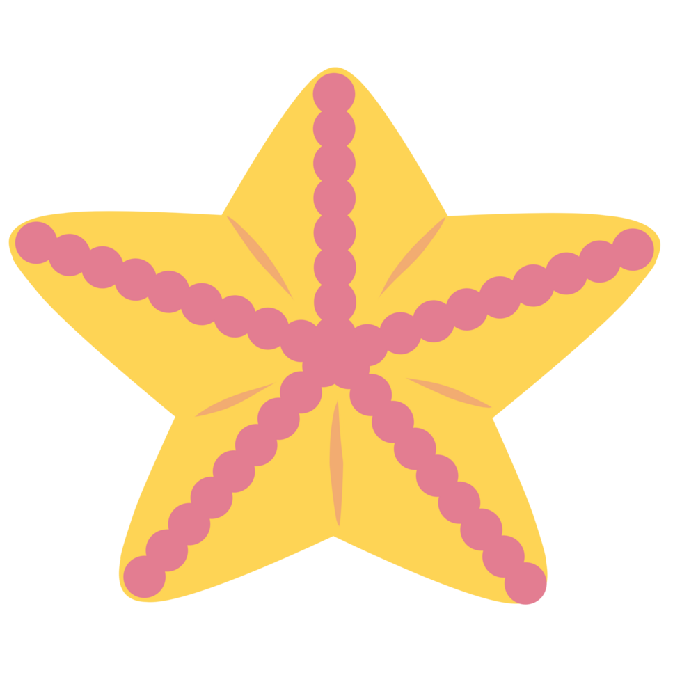 Summer animal Starfish png