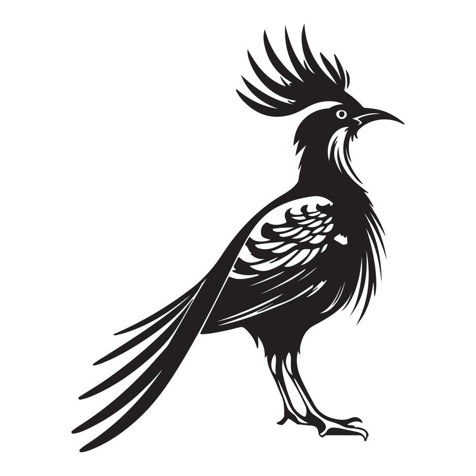 Roadrunner logo illustration silhouette white background vector