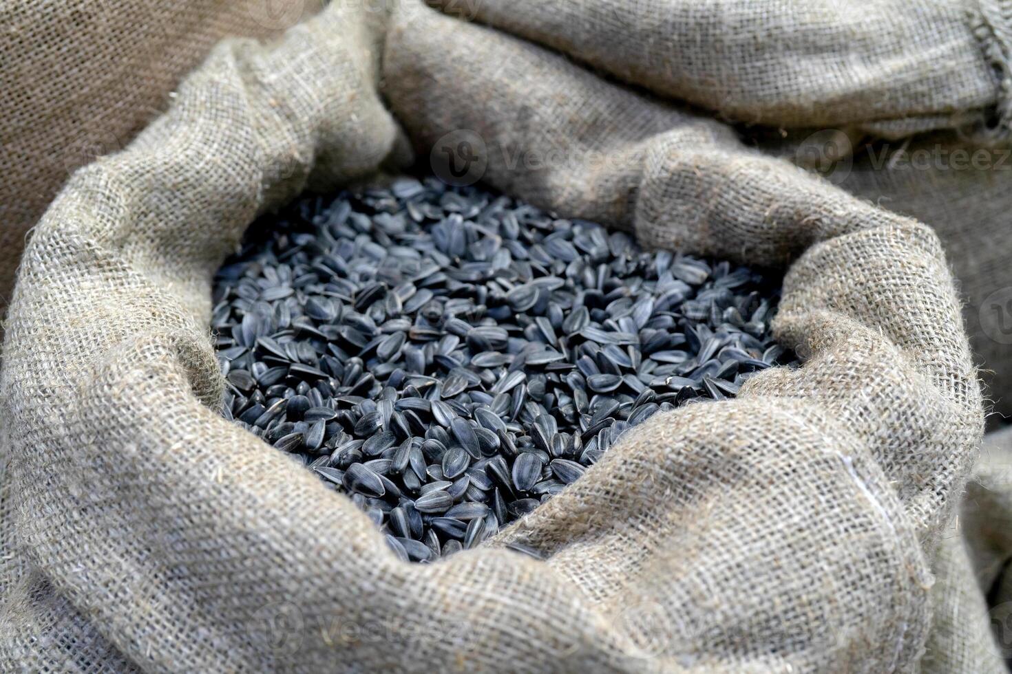 Sunflower seeds in bags. photo