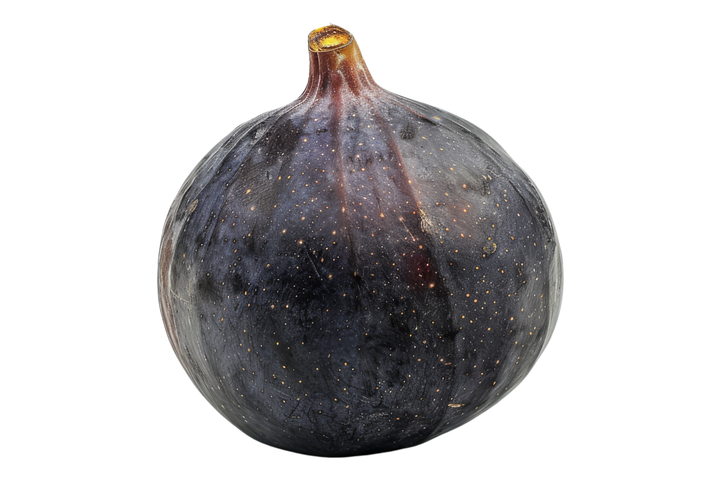 Fresh Ripe Fig Isolated png