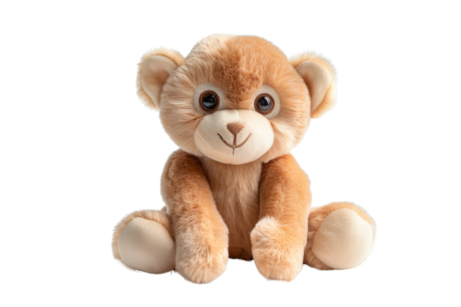 Cute Teddy Bear Sitting on Black Background png