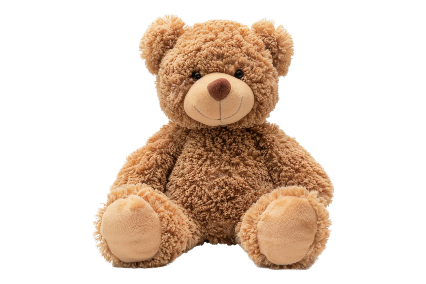 Brown Teddy Bear Sitting png