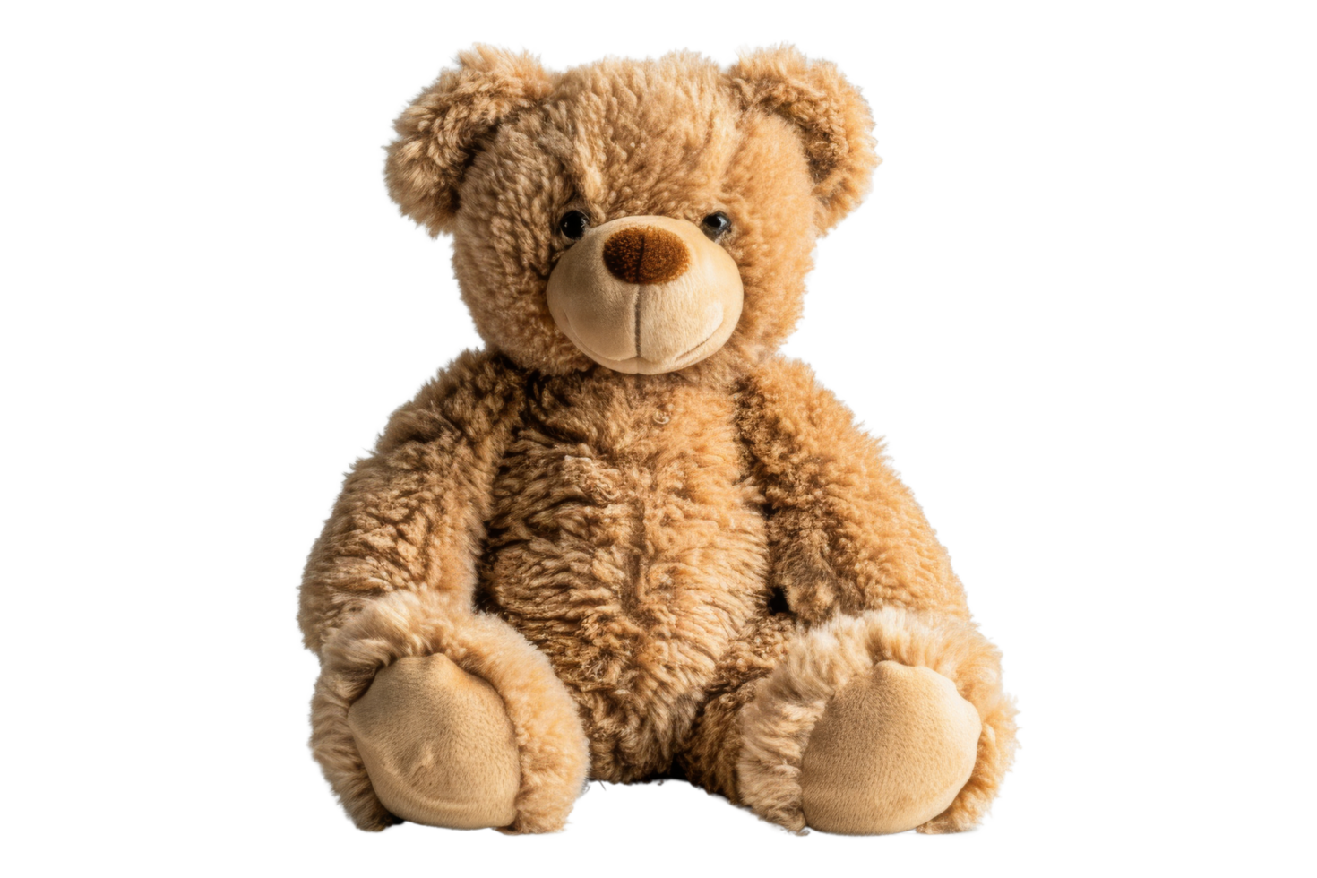 Teddy Bear Sitting png