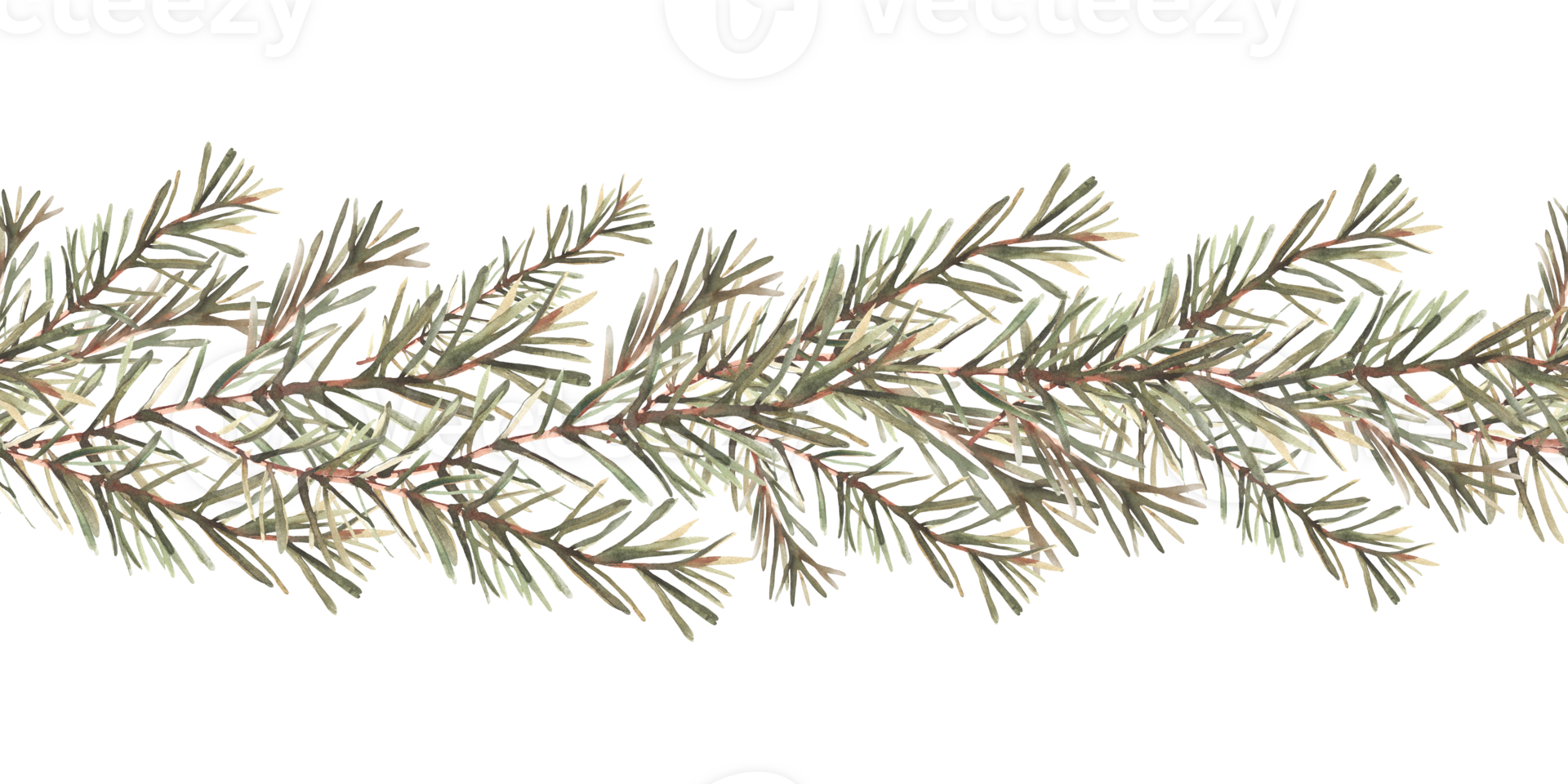 Pine or fir tree branches seamless border, pattern. Spruce evergreen with needles. Winter forest watercolor Christmas tree twig painted illustration for fabric, wrapping paper on isolated background png