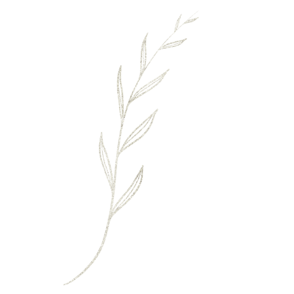 A Drawing of a Glittery Silver Leaf on a Transparent Background png