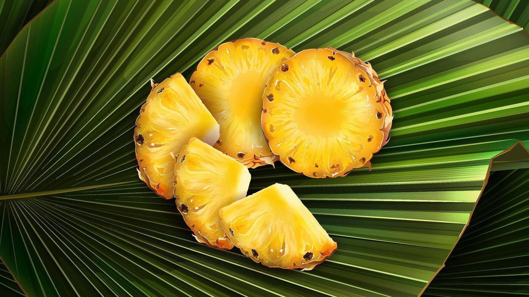 A set of slices of chopped pineapple on a leaf. vector