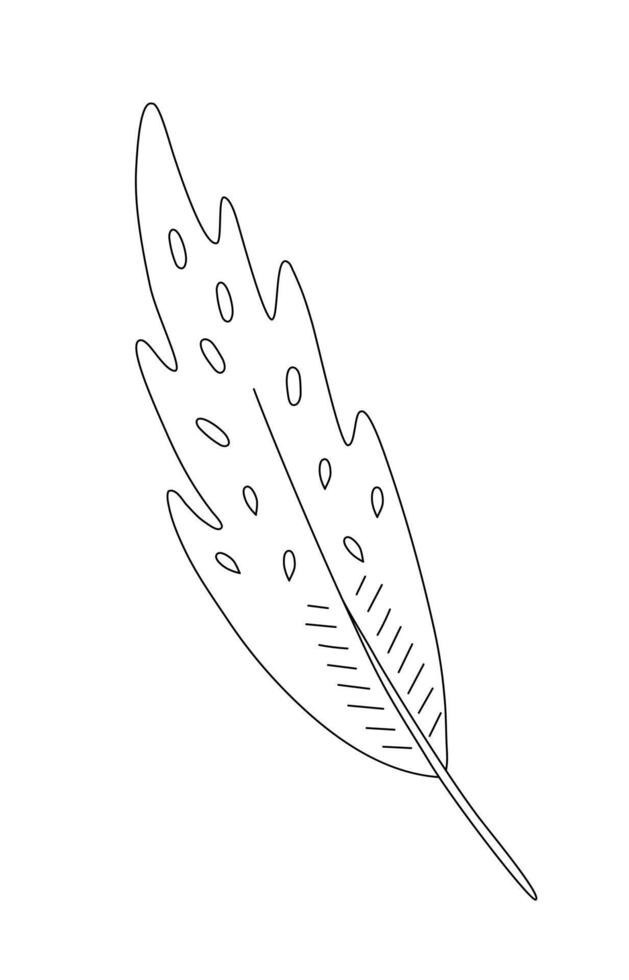 Feather sketch simple hand drawn doodle line art illustration, tribal ethnic mystic spiritual style outline drawing vector