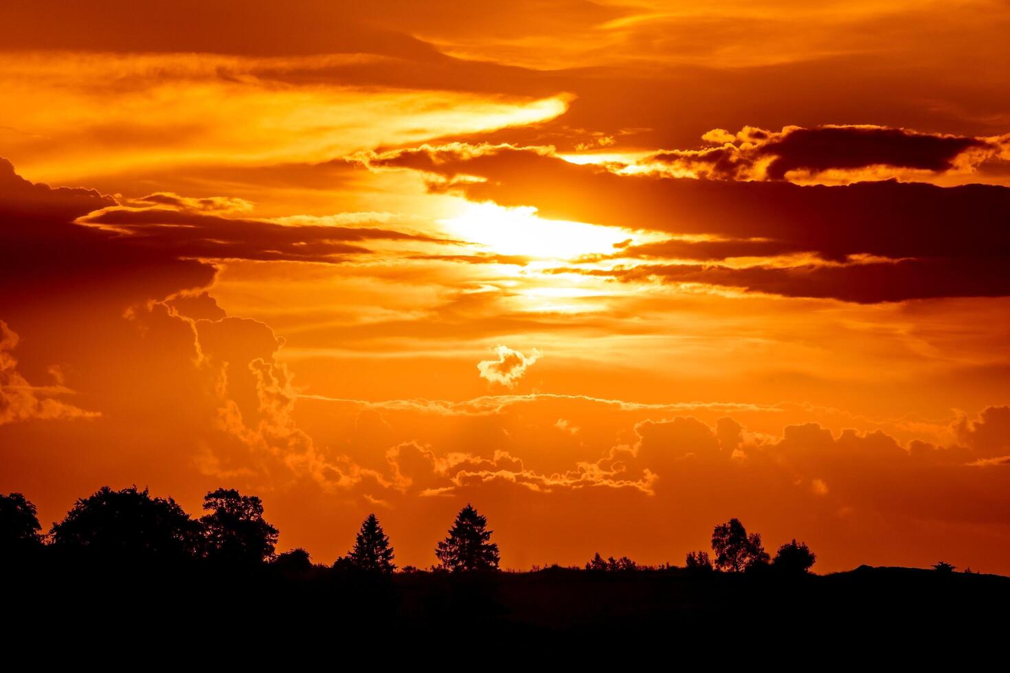 Golden Evening Sky photo