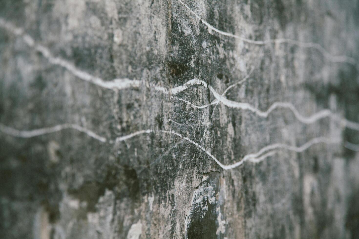 Ancient Ash-Colored Stone Wall photo