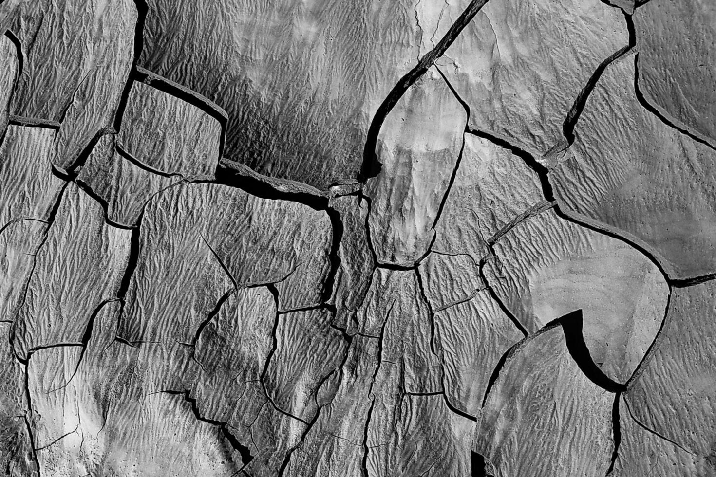 Sunlit Elegance The Beauty of Cracked Soil photo