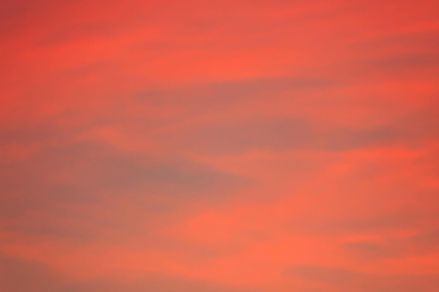 Orange Red Composite Canvas photo