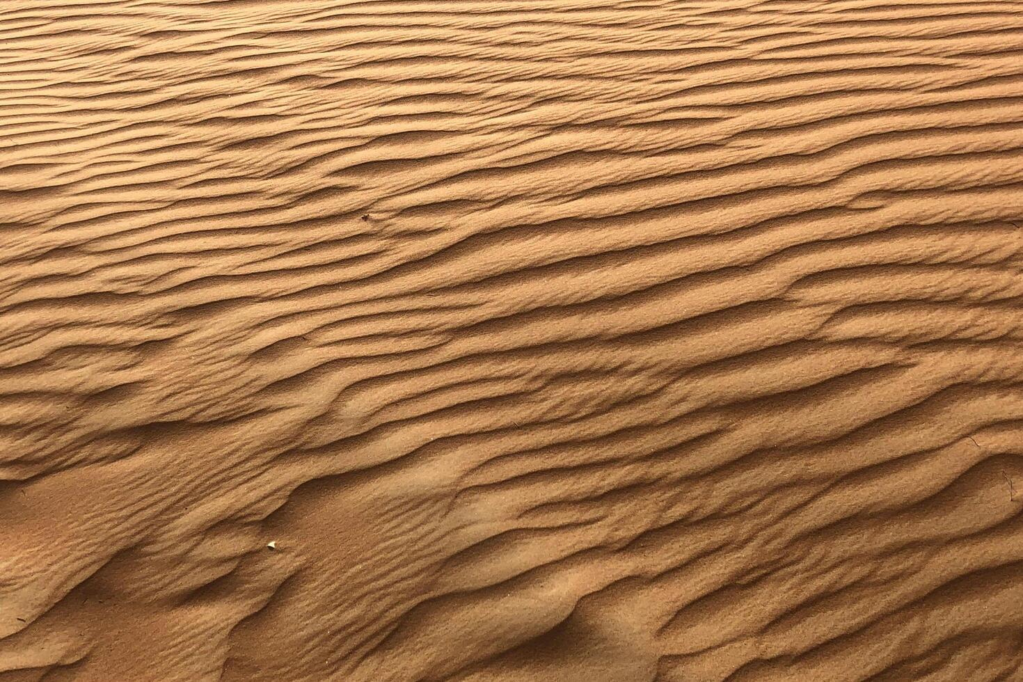 Grooving and Wrapping The Unique Beauty of Paper photo