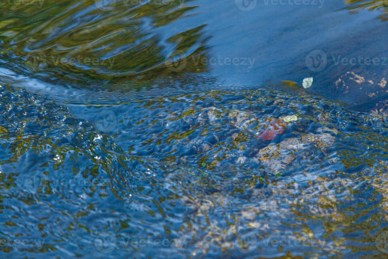 flow of water and spray from a stone photo