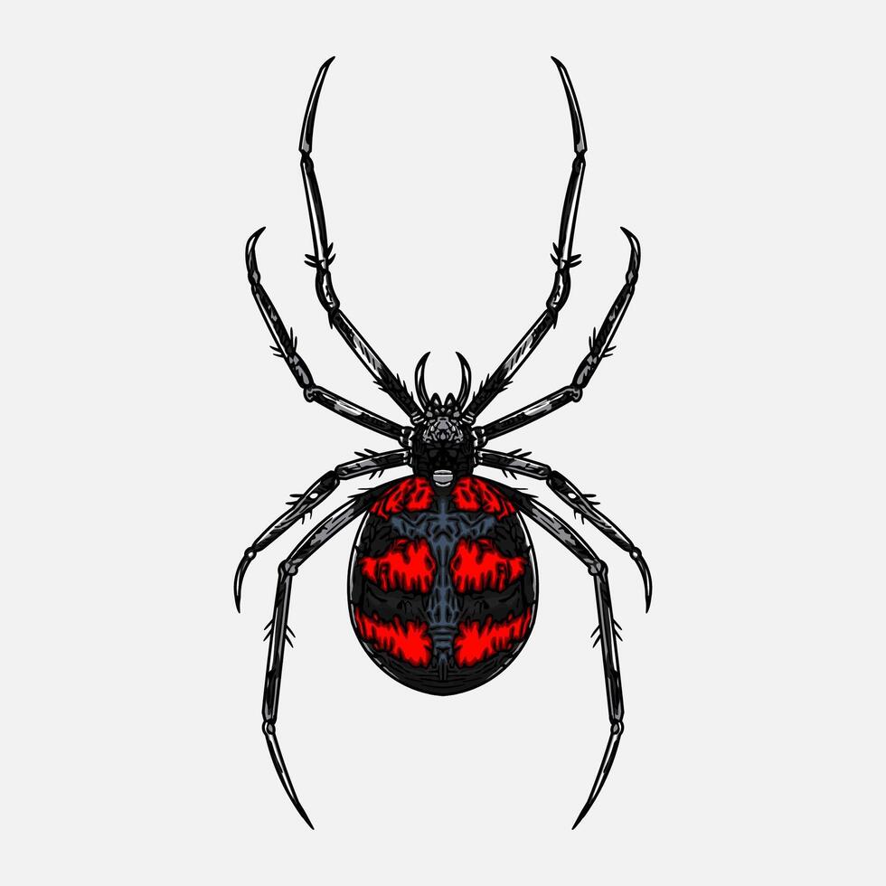 Red black spider illustration vector