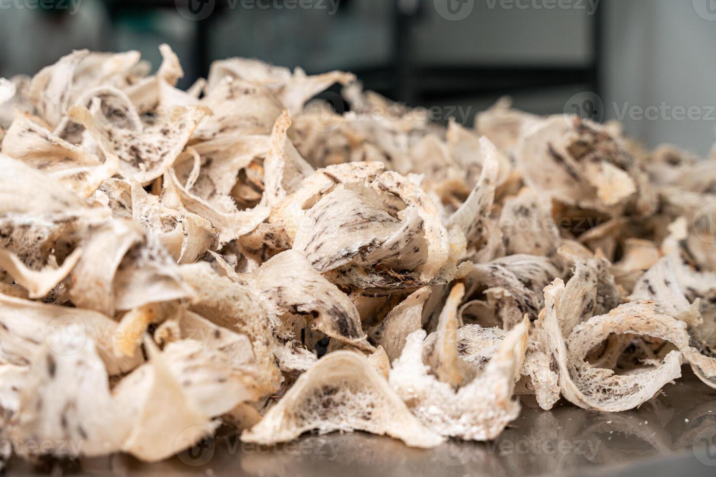 Raw edible bird's nest materials for tradition chinese medicine. Swallow nest the traditional chinese delicacy. photo