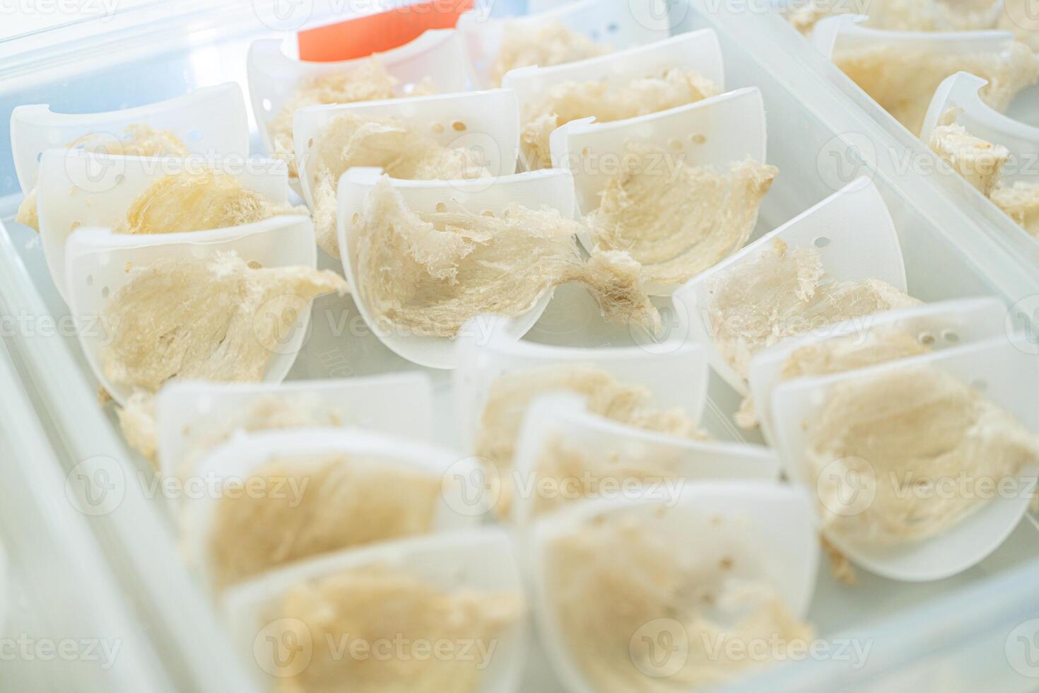 Raw edible bird's nest materials for tradition chinese medicine. Swallow nest the traditional chinese delicacy. photo