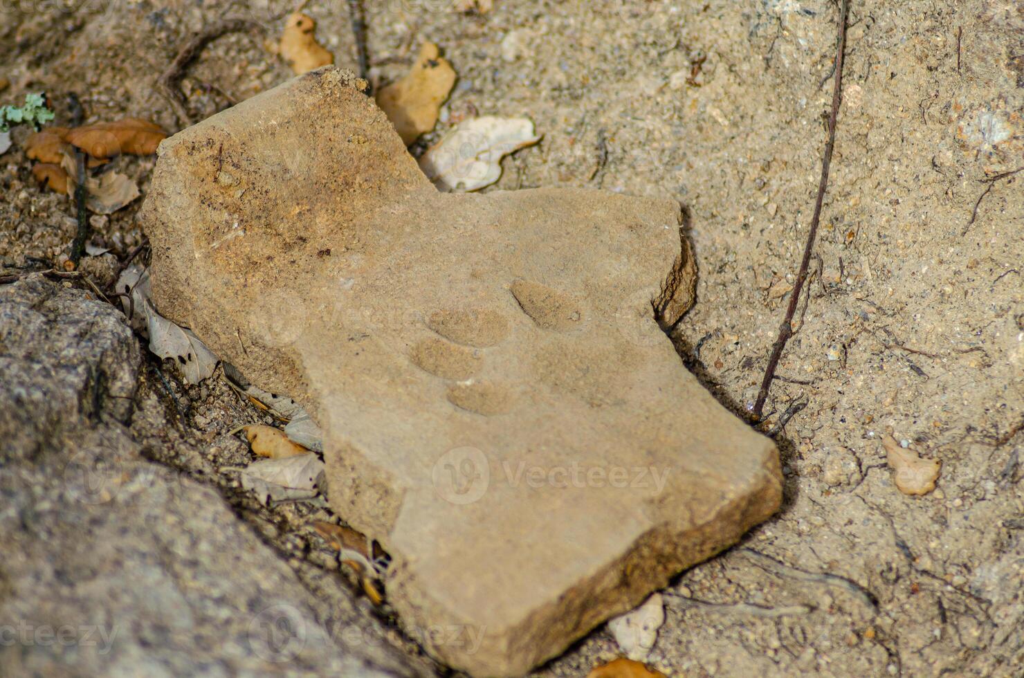 roman roof tile with a dog's footprint in an archaeological dig, tegula photo