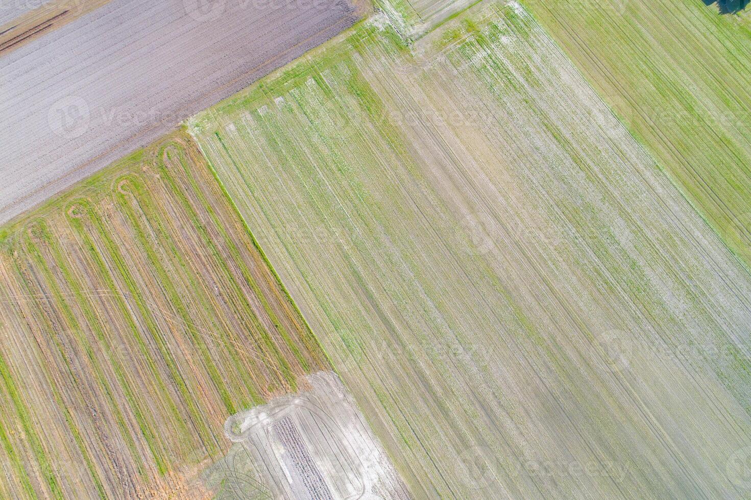 overhead aerial drone view of agricultural fields in springtime photo
