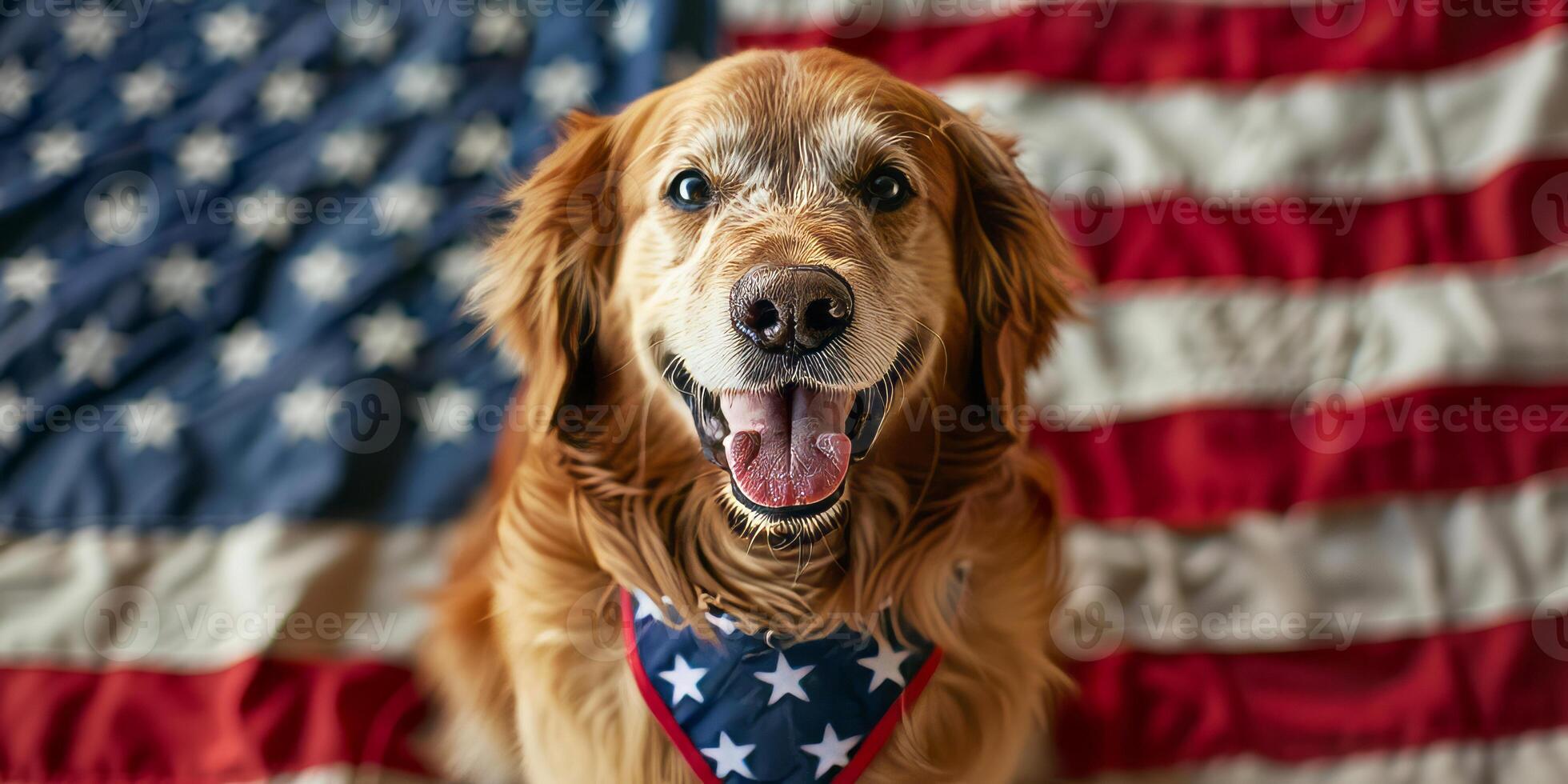 Close-up of a golden retriever dog in front of American flag photo