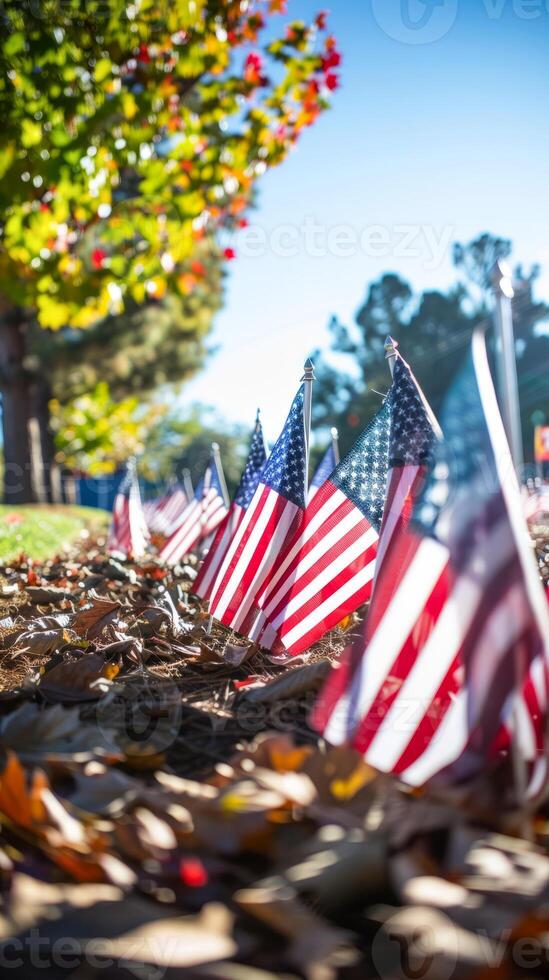 American flags displayed in a park for a patriotic celebration photo