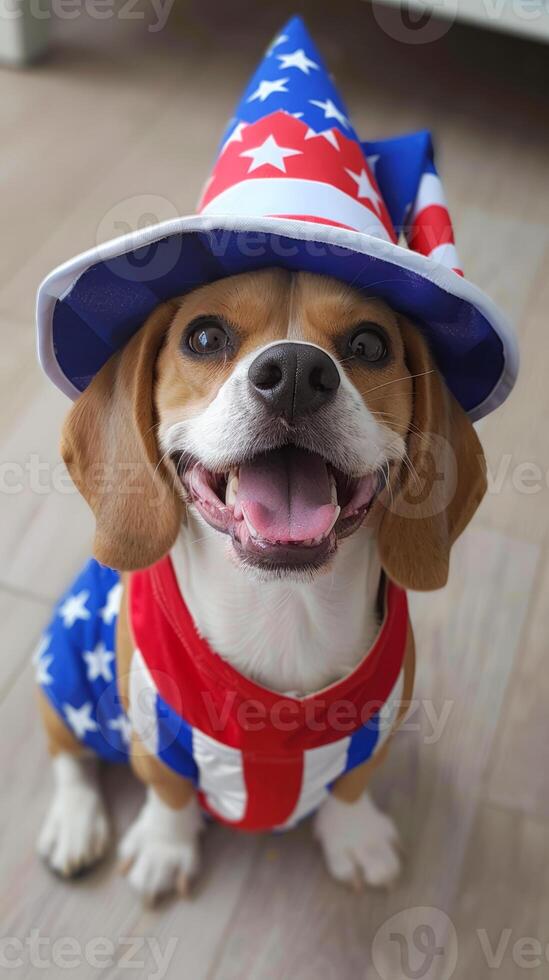 Patriotic Beagle with red white and blue hat, Labor Day spirit photo