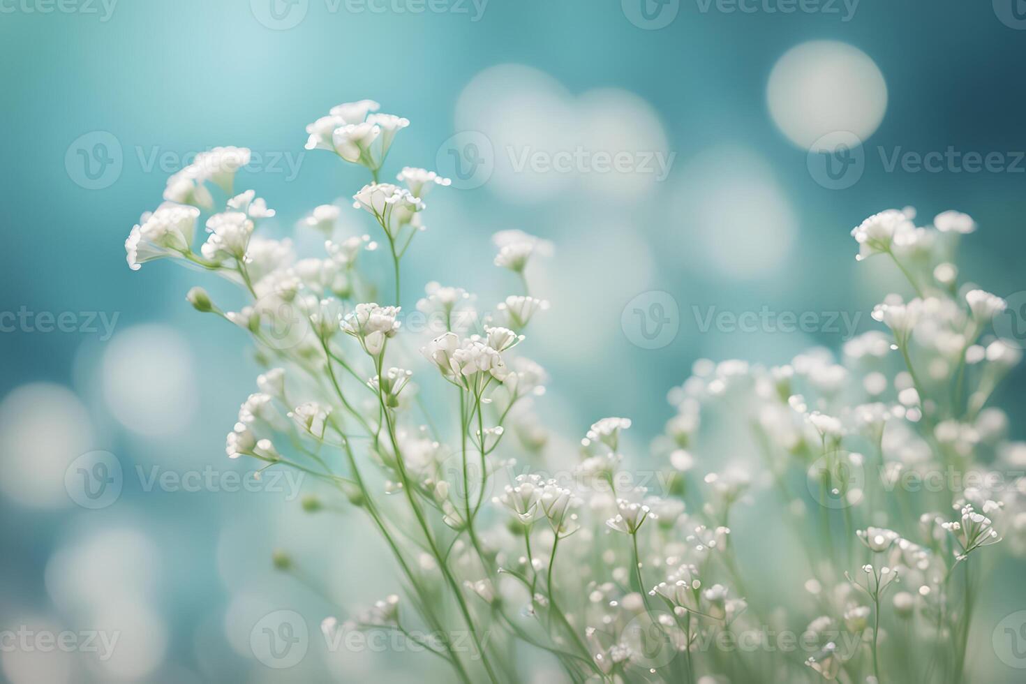 Babys breath flowers bokeh background photo
