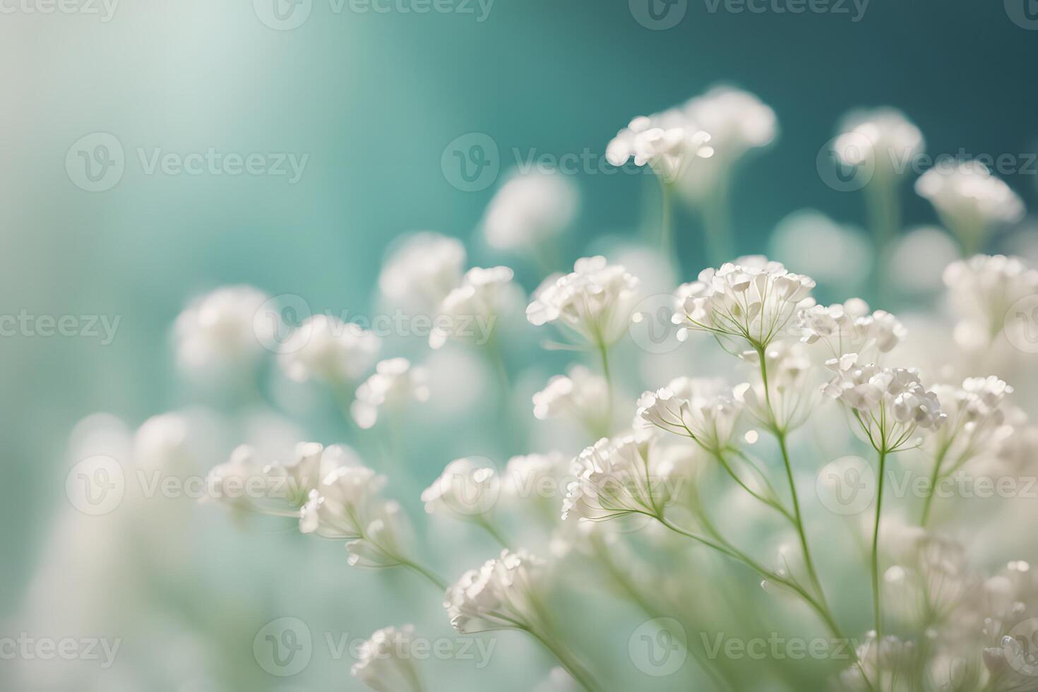 Babys breath flowers bokeh background photo