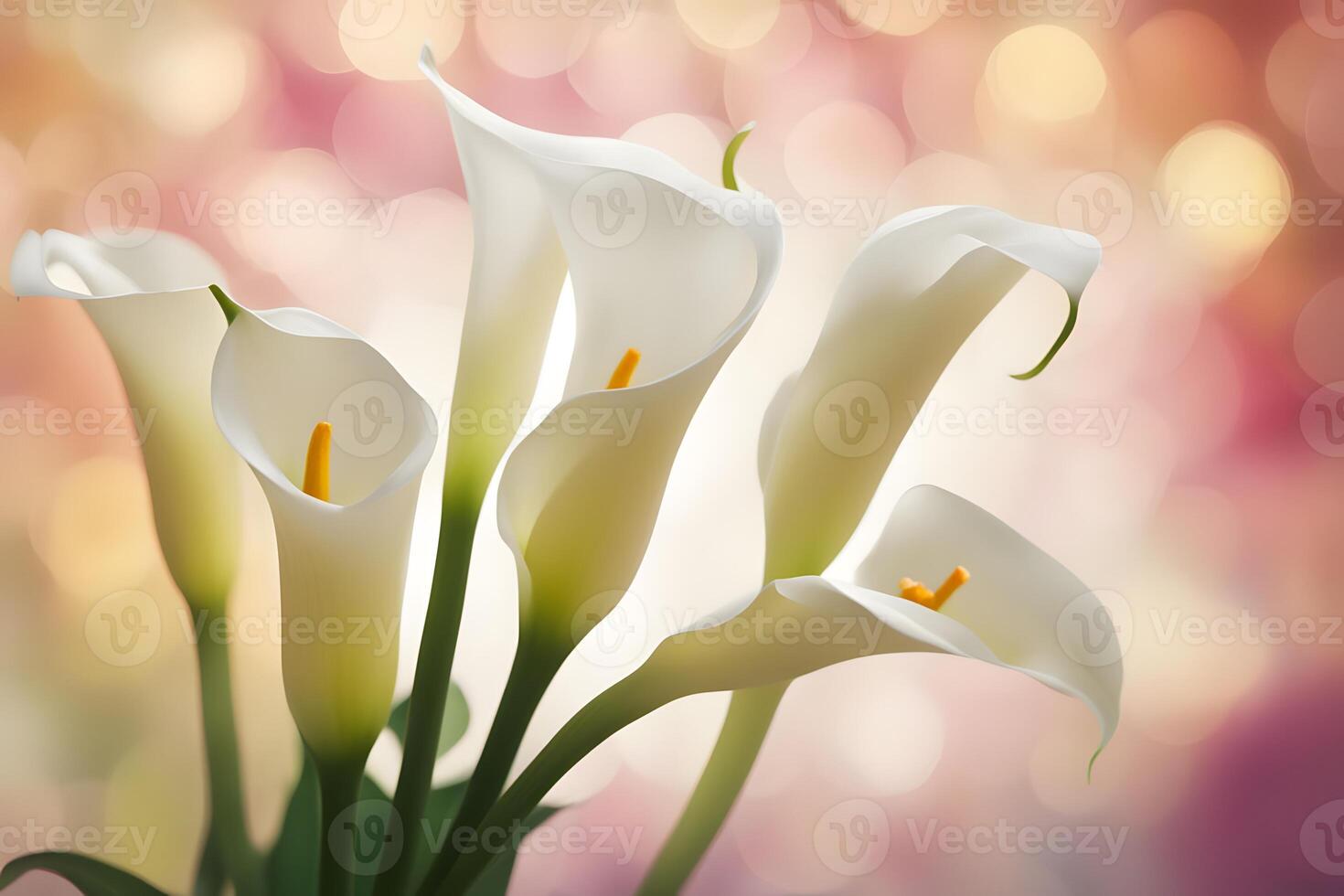 Calla lily flower bokeh background photo