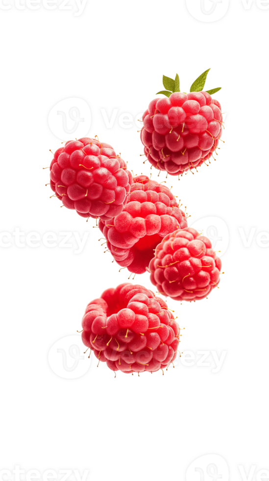Raspberry isolated transparent objects png
