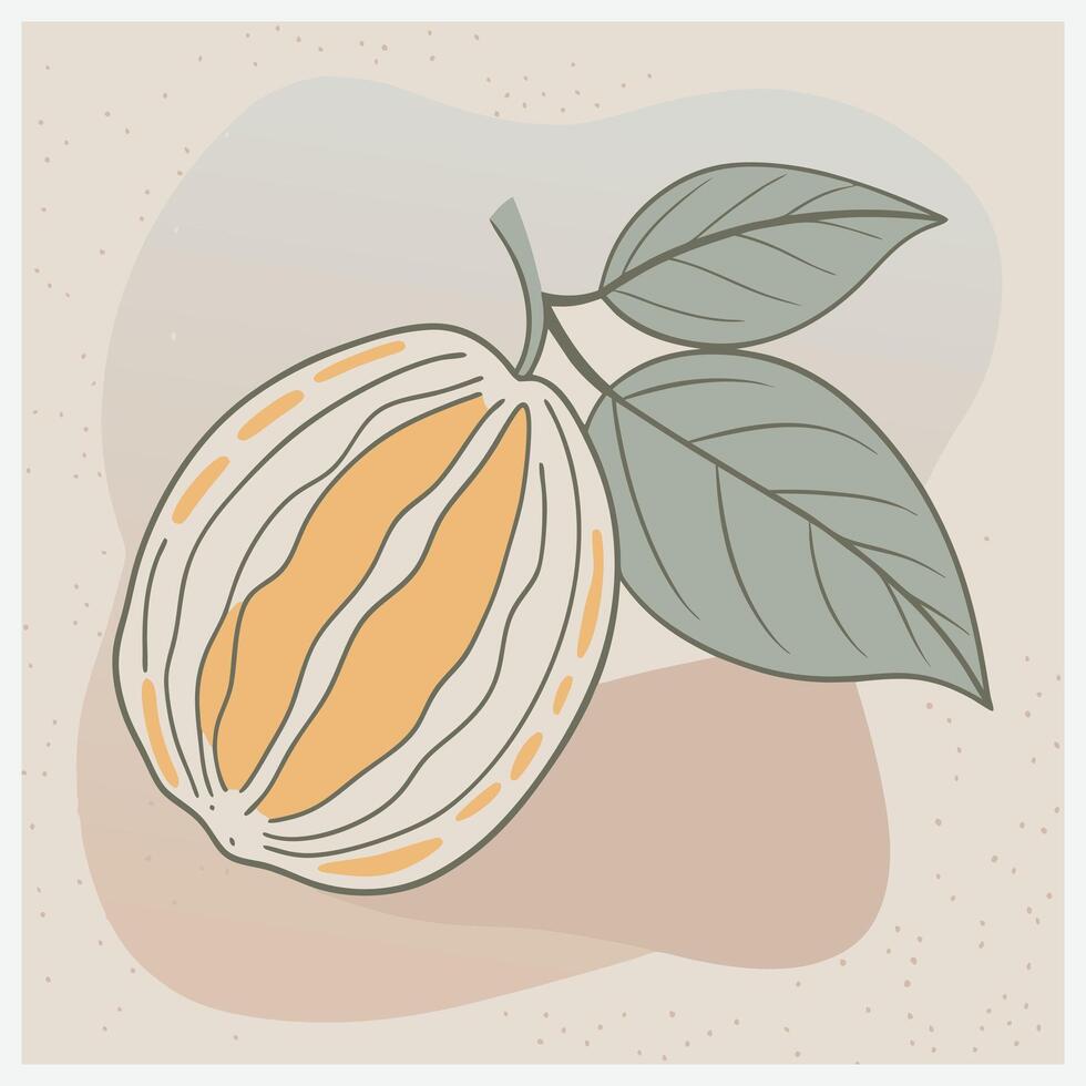 Arbaaz Illustration, Exotic Tropical Fruit in Detail. vector