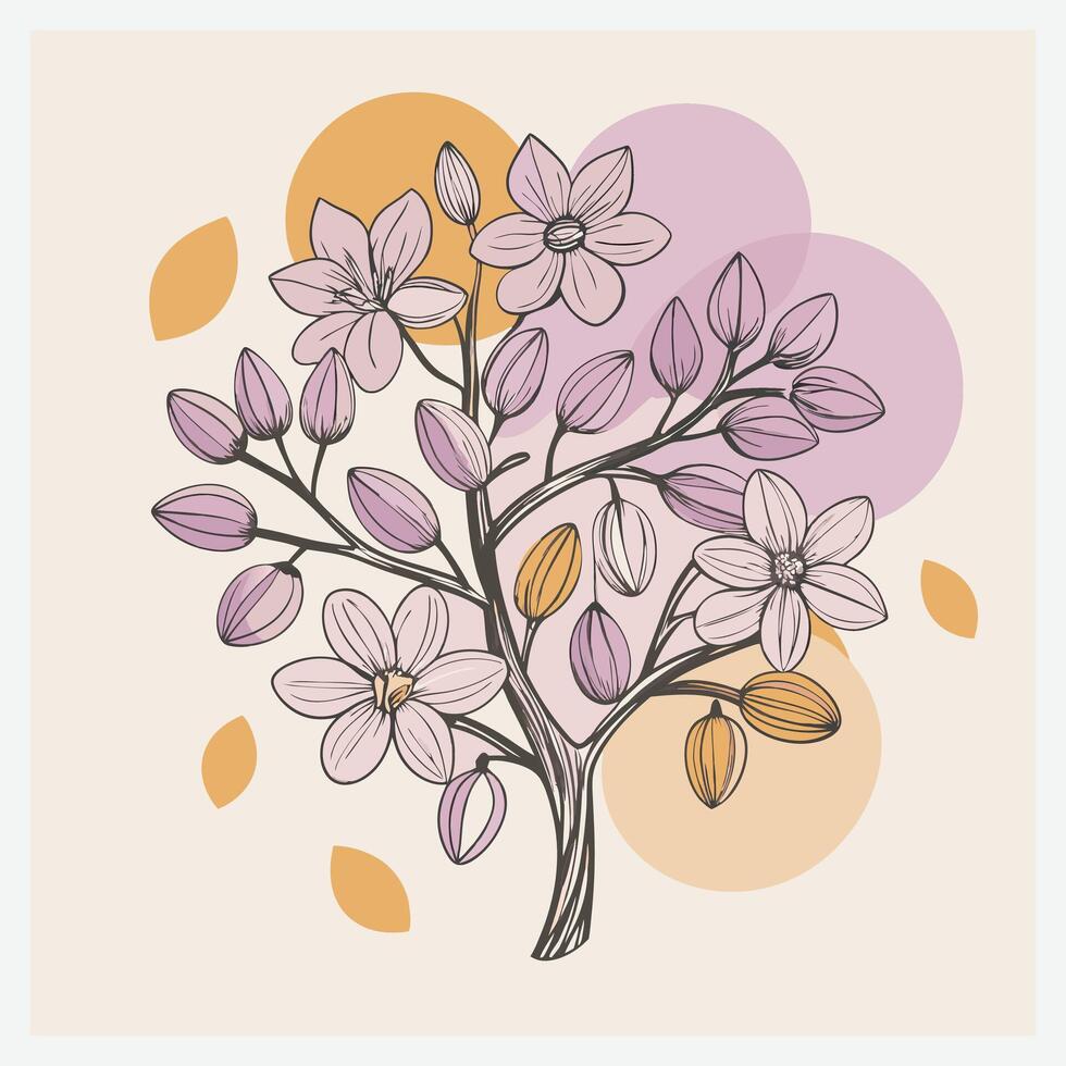 ALMOND TREE ILLUSTRATION vector