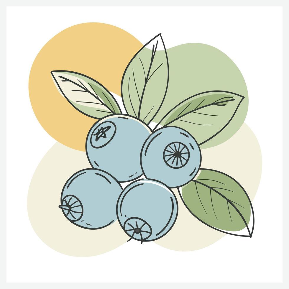 Bilberry , Vibrant and Detailed Illustration of the Nutrient-Rich Berry vector