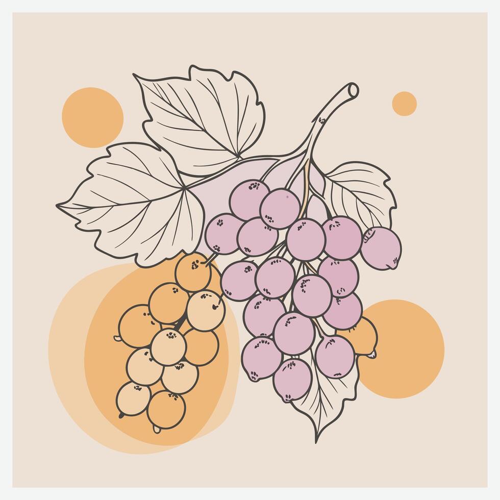 White Currant Illustration, Crisp and Detailed Botanical Design vector