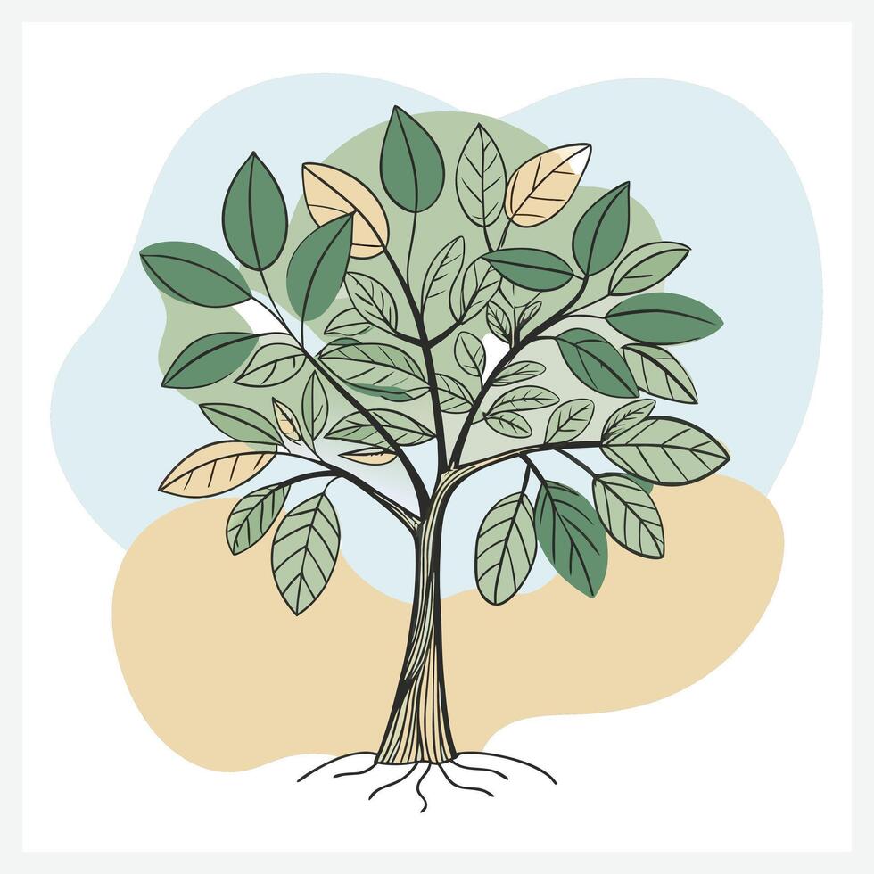 ANDIROBA TREE ILLUSTRATION. vector