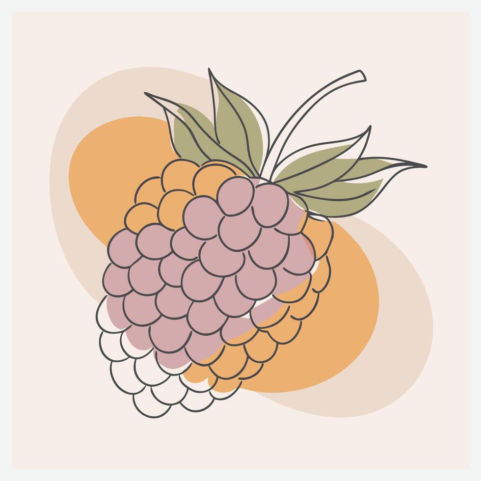 Exquisite Blackberry Illustration vector