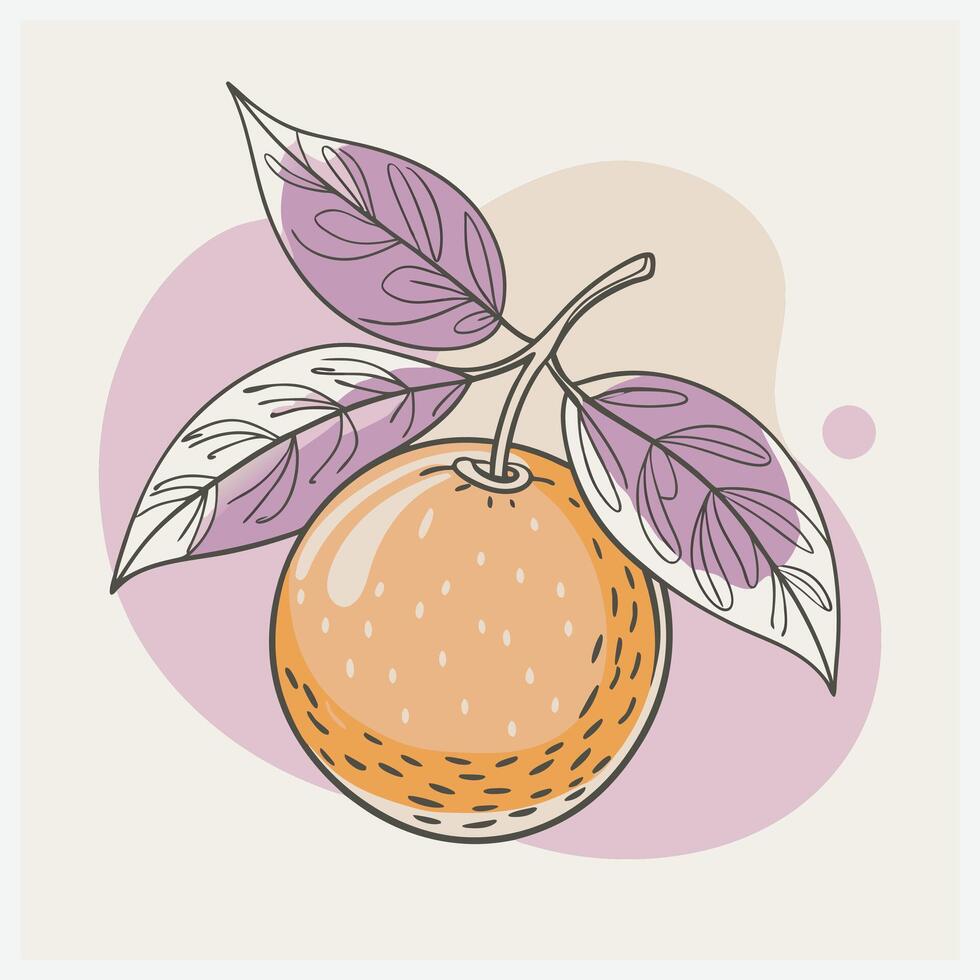 Yuzu , Exquisite Citrus Illustration Capturing the Essence of Freshness vector